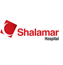 Shalamar Institute of Health Sciences Logo