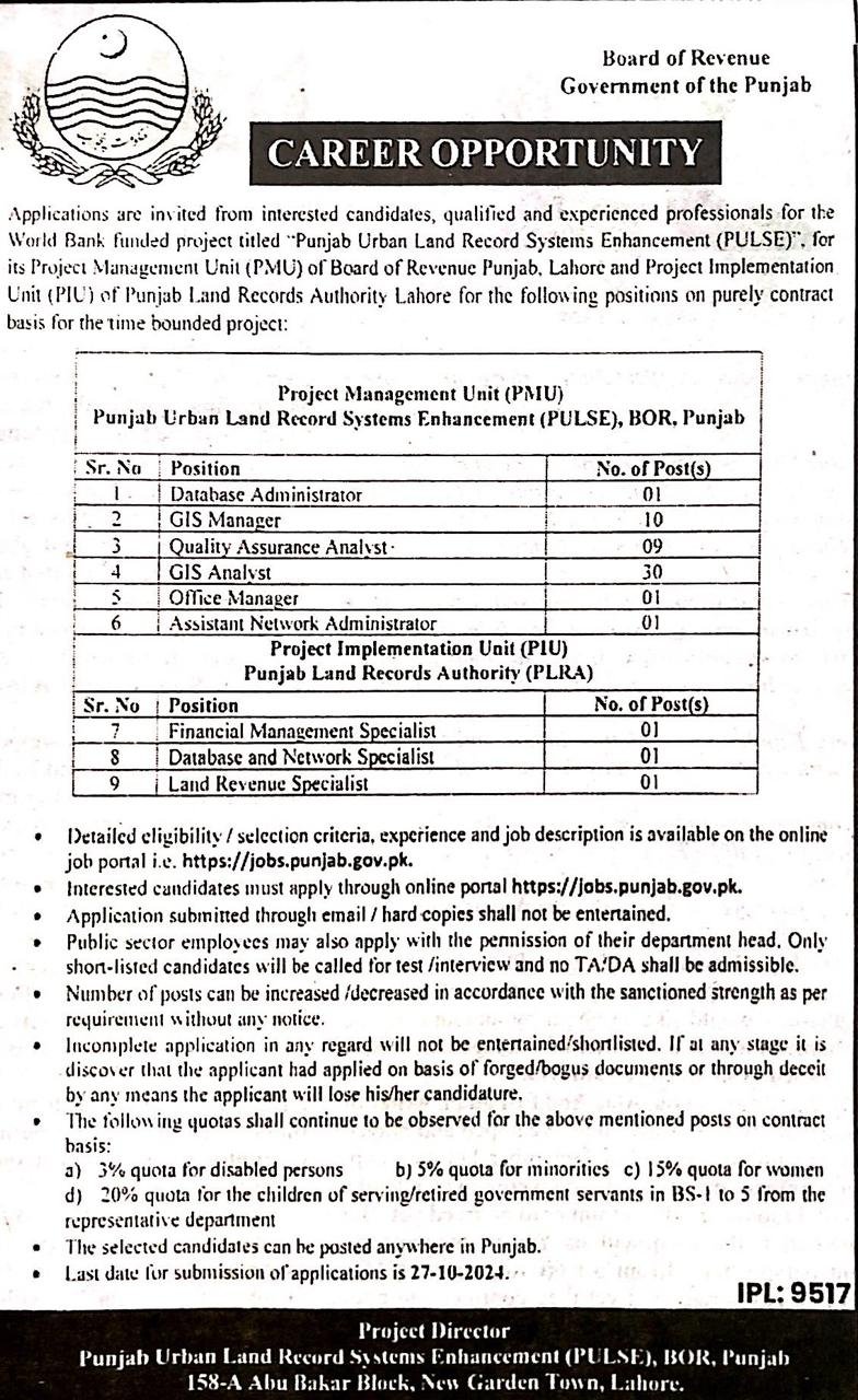 Database Administrator 