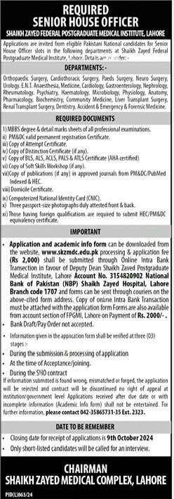 Senior House Officer 