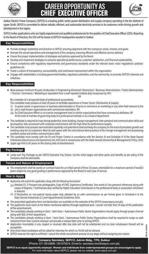 Cheif Executive Officer