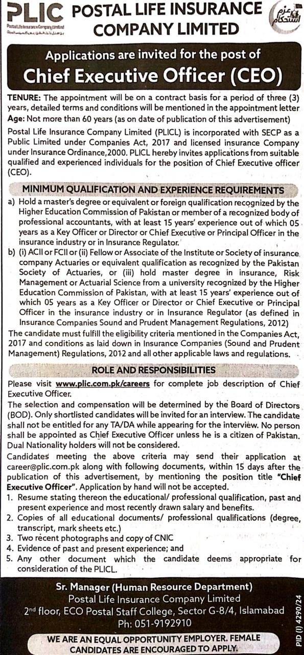 Chief Executive Officer (CEO)